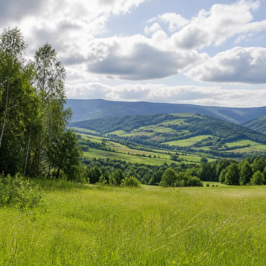 Koniec konsultacji w gminie Lądek. Brak uwag do programu ochrony środowiska